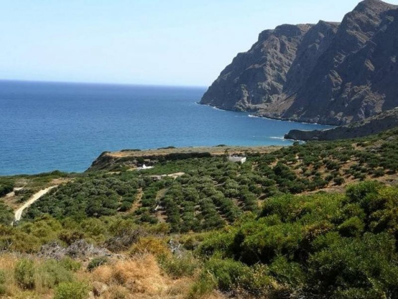 Mochlos Kreta, Mochlos: Baugrundstück mit fantastischem Meerblick zu verkaufen Grundstück kaufen